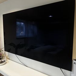 65” LG OLED TV + Wall Mount + TV Stand