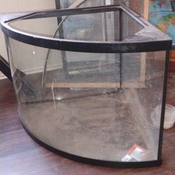 Bowed Fish Tank