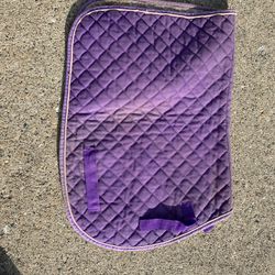 Purple Schooling Pad