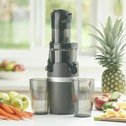 Extractor De Jugos Princes House 