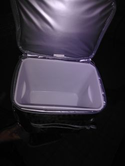 Small portable cooler