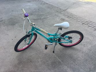 Guardian Bikes 20” Bike