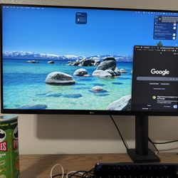 Lg Display 4k 32” With Ergo Stand