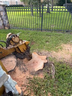 Stump grinding
