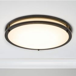 2-Ring LED ceiling light