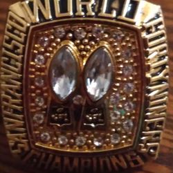 San Francisco 49ers Championship Ring 