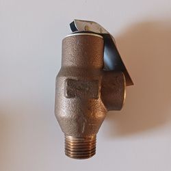 Watts Pressure Release Valve 