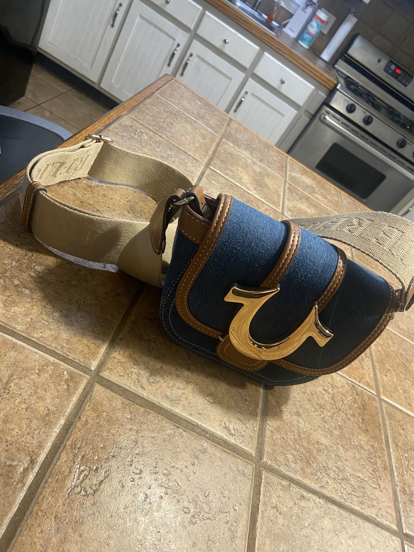 True Religion Purse