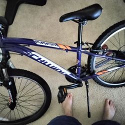 Schwinn Ranger 24" 