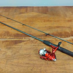 Shakespeare Rod & Reel Fishing Combo Pole