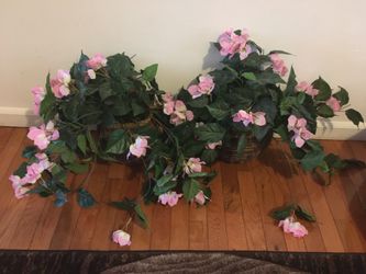 Hanging flowers