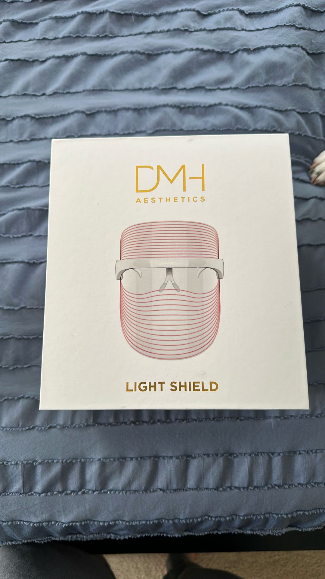 Light Therapy Face Mask