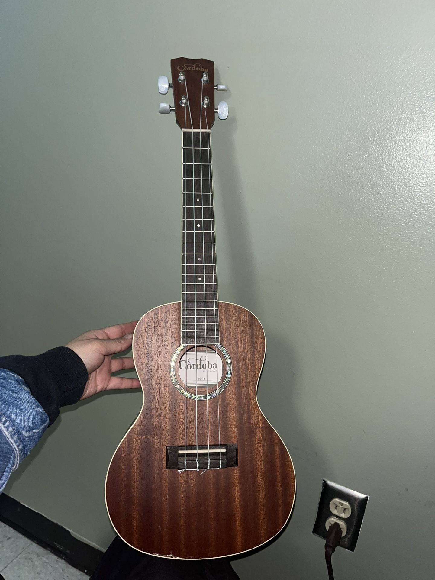 Ukulele 