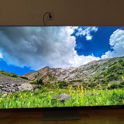 Damaged Panel 8k 2021 Samsung 65 Inch Tv