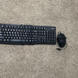 Logitech Mouse N keyboard
