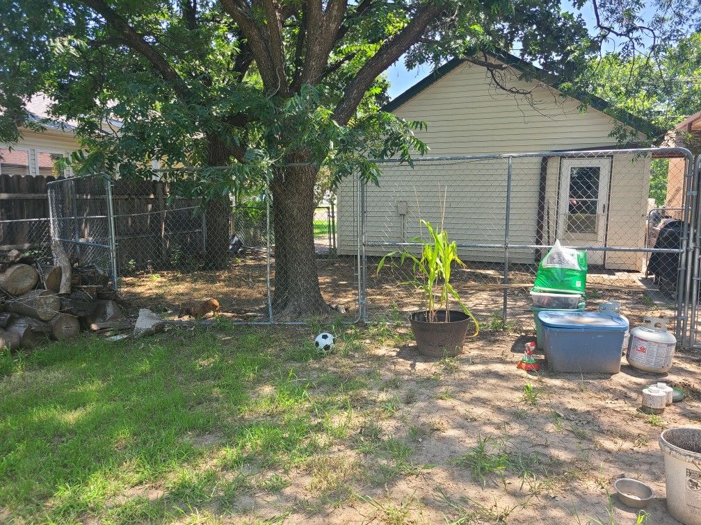 Dog Kennel Fence