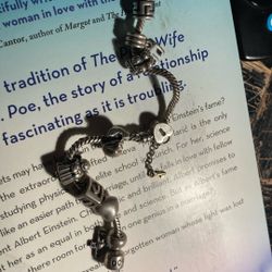 Pandora Charm Bracelet !  🎅🏼🧑🏻‍🎄 Pure Silver!