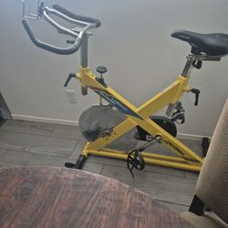 The Life Fitness LF350000 tag
LeMond RevMaster Pro frame
Upgraded SPD clip-in pedals
Straight crank arms
Clean flywheel
Working resistance knob