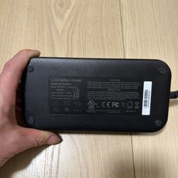 54.6V. 4.5A Charger 