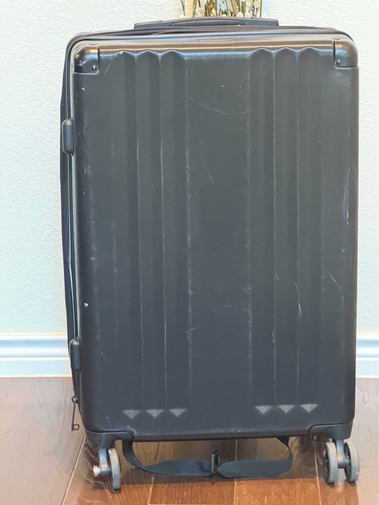 CALPAK Hue Luggage