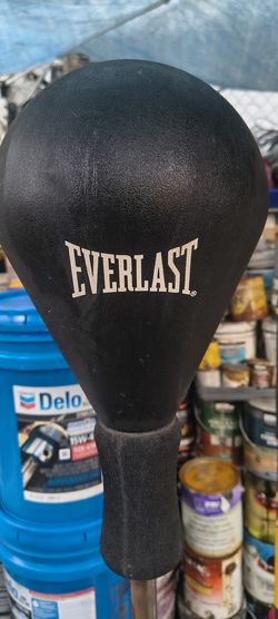 Everlast reflex bag