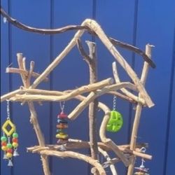 Small Bird Perch Tree… A New Hangout Spot For Your FAV  Cockatiel  Conure Ringneck Or Other Smaller Bird !!