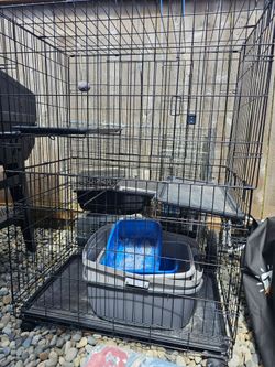 Small animal cage