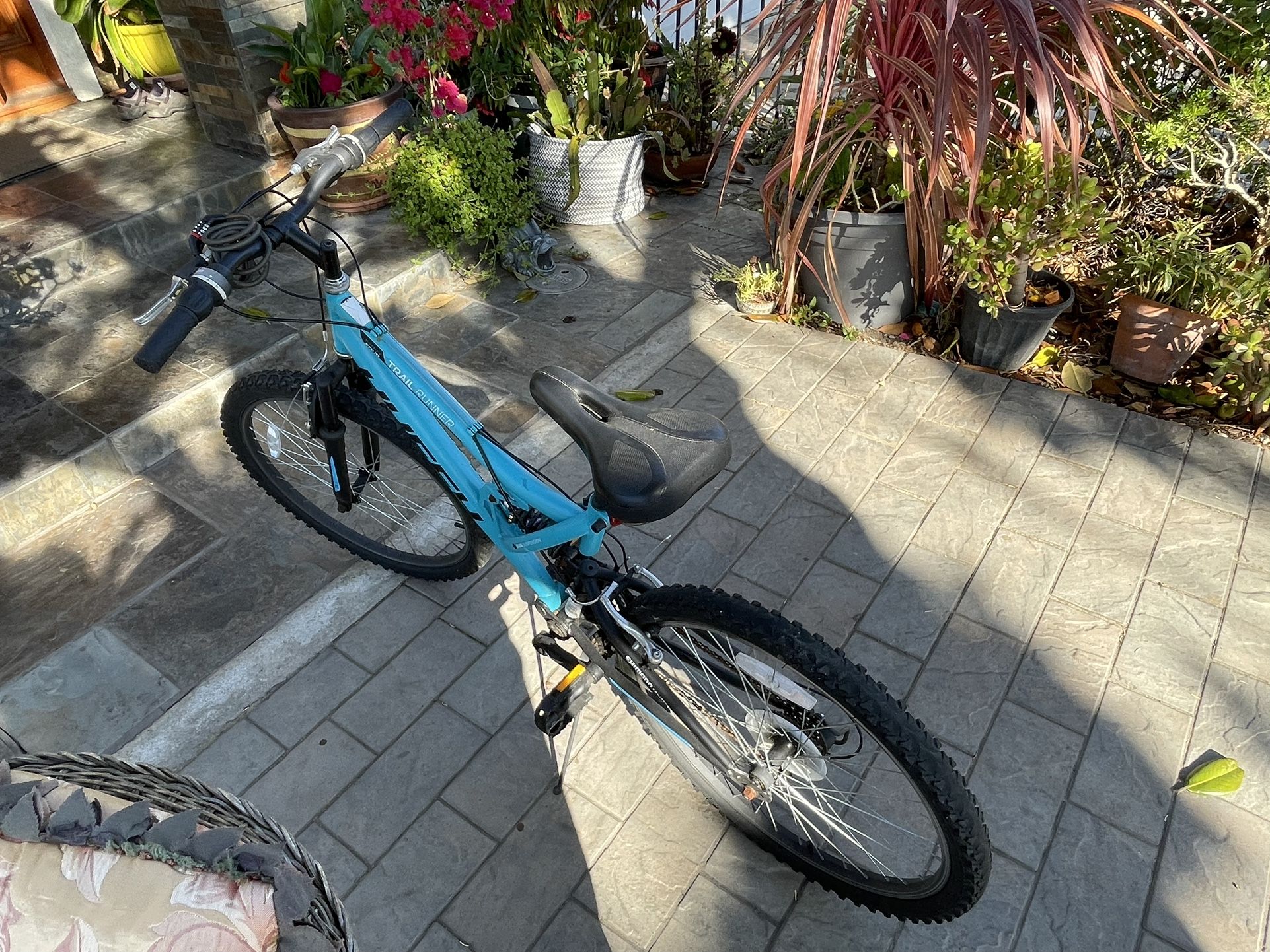 Bicycle 24