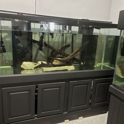 210 Gallons Fish tank 