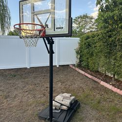 Basket Ball hoop