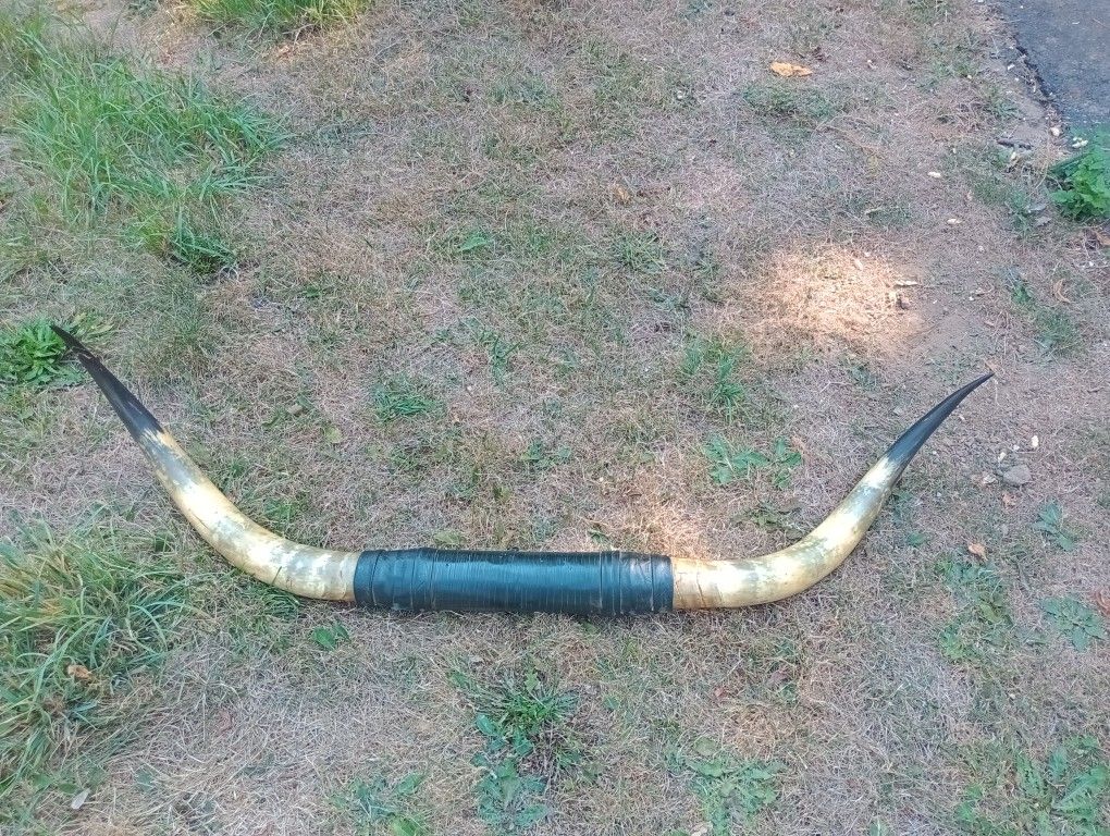 1960s '70s Bullhorn