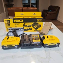 DeWalt 20V MAX 5.0Ah Batteries (2) + Charger – New