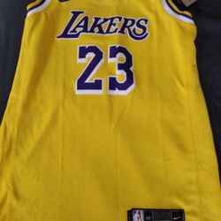 LeBron James Lakers Swingman Jersey Size Small 