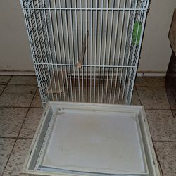 Bird Cage Used Price For 1