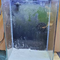 Marineland 5GL Glass Aquarium Kit
