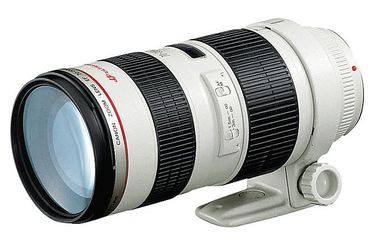 Canon EF 70-200mm F/2.8L USM tele zoom lens
Focal Length: 70-200mm
Maximum Aperture: 1:2.8
Lens Construction: 18 elements in 15 groups
Inner focusing
