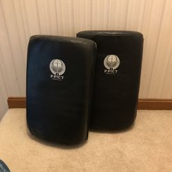 (SET of 2) PPCT / MMA Striking Bags