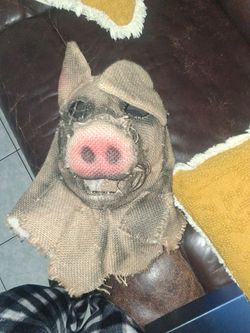 Pig mask scarecrow