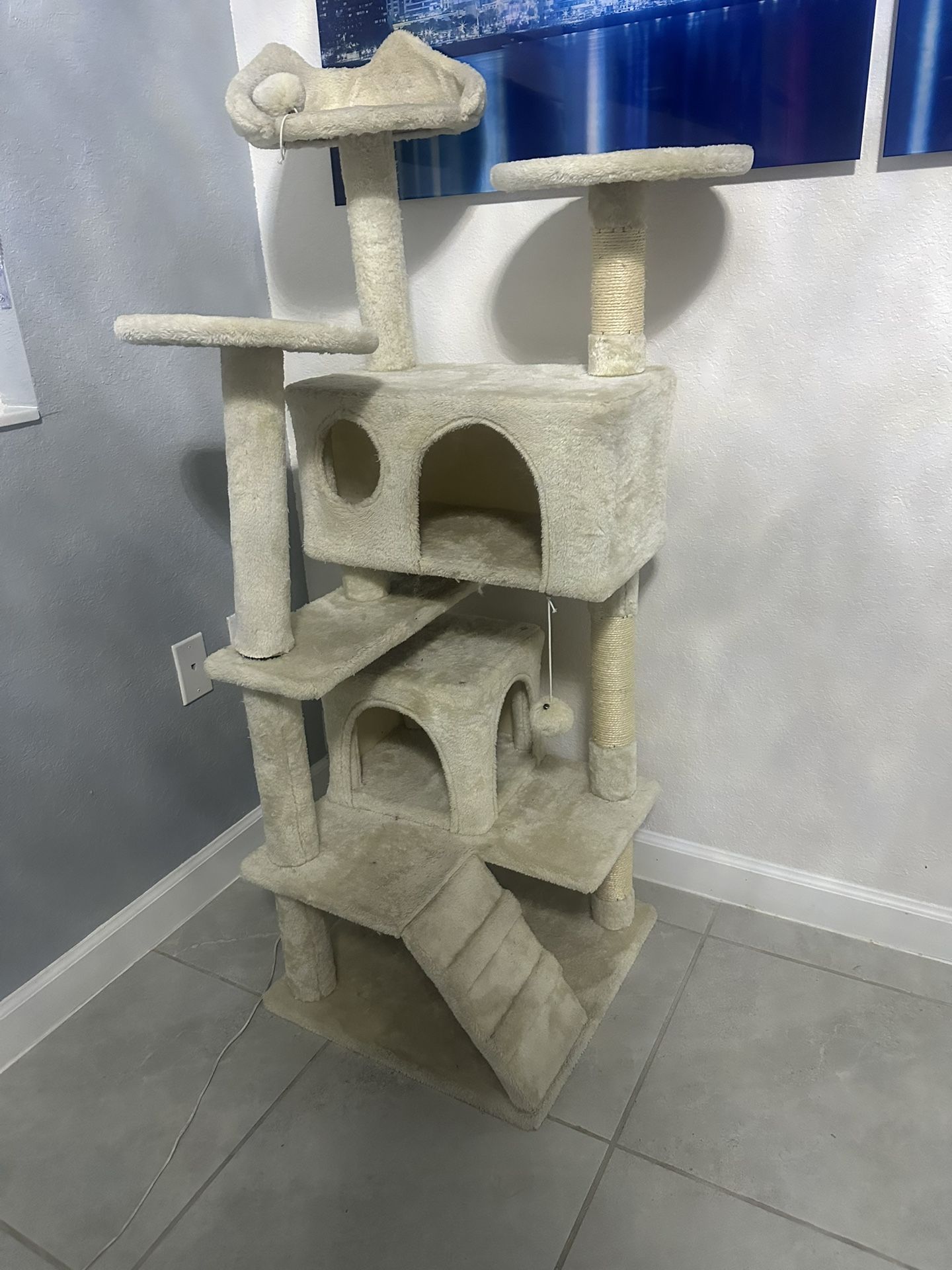Cat Play Ground