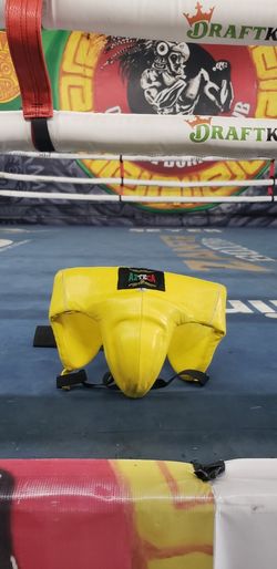 Boxing Abdominal Protector