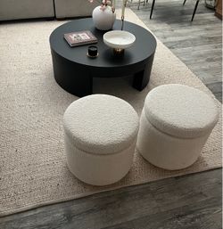 Rug (8’ x10’)