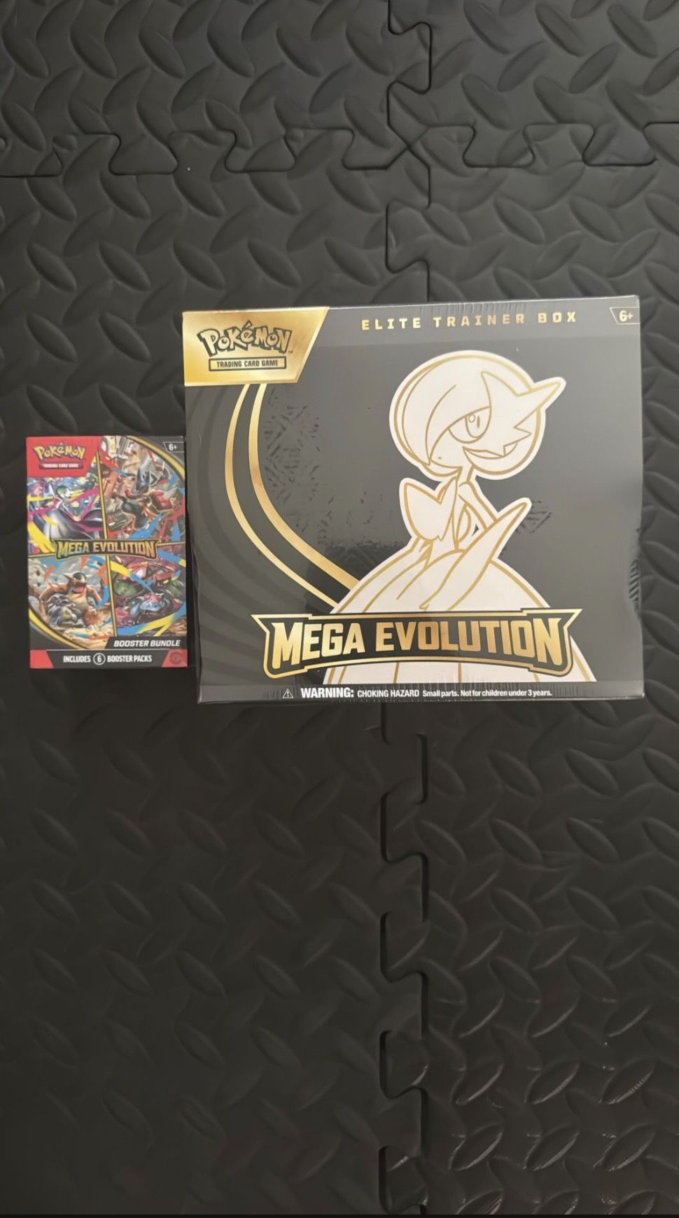 Mega Evolutions