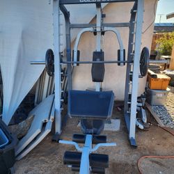 Gold Gym Workout Bench 