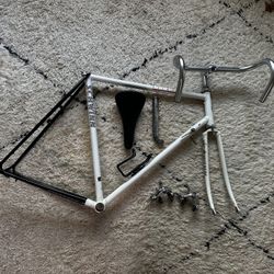 Schwinn Peloton Bike Frame
