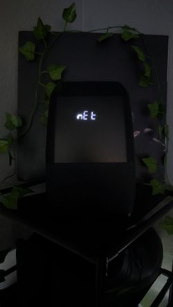 google home