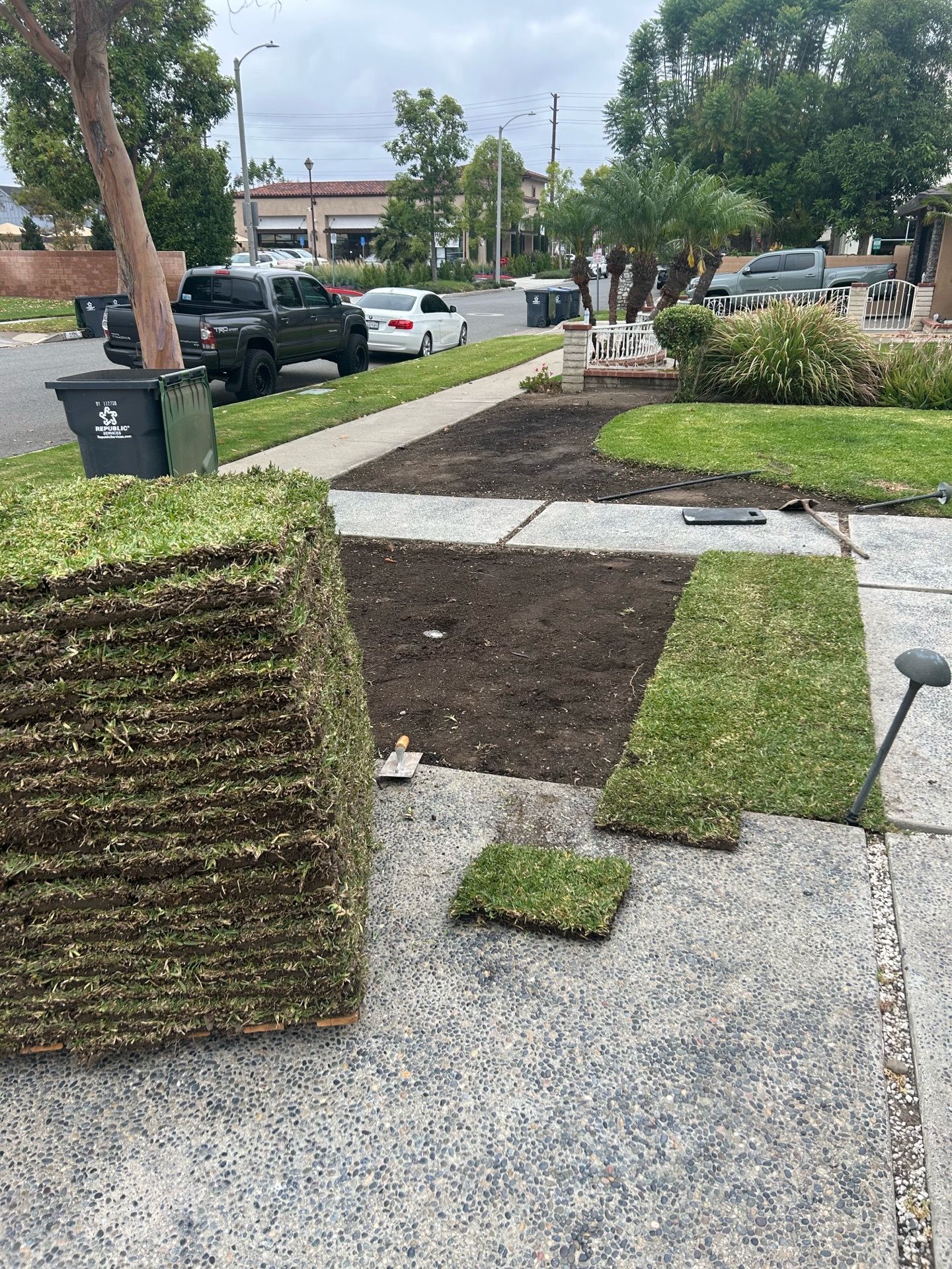 San Agustin Grass 80sq. Ft.