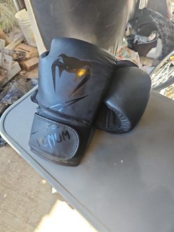 Venum 14 Oz Gloves