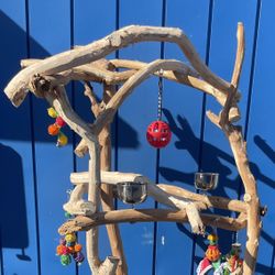 Big Thick n Curvy - Macaw Perch Tree … Lots Of Birdee Play Time !! All Custom , Hard Durable Ribbon Wood 🪵! 