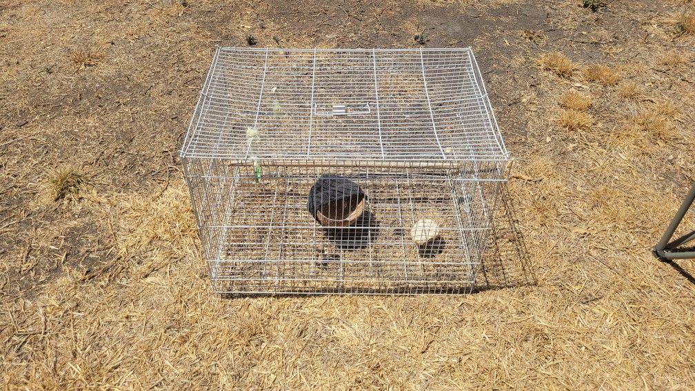 Bird Cage