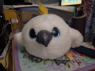 White Cockatoo